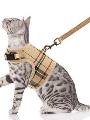 Escape Proof Cat Harness with Leash