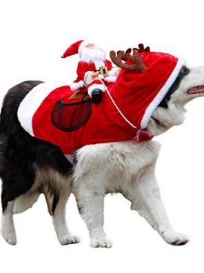 Cats Running Santa Christmas Pet Costume