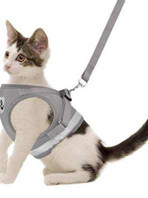 Cat Harnesses and Puppy Harness with Leashes Set