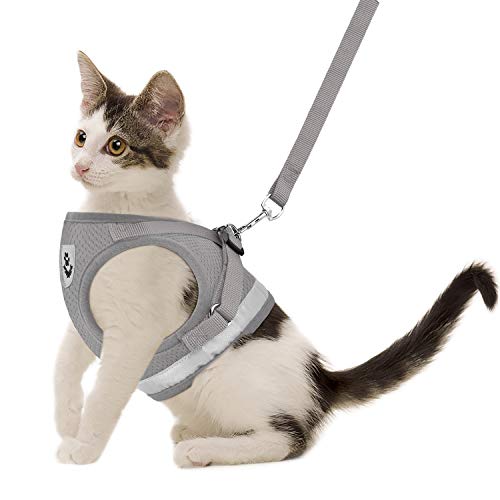 Cat Harnesses and Puppy Harness with Leashes Set