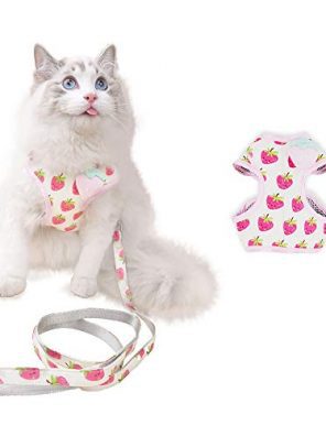 Cat Harness and Leash for Walking Escape Proof, Adjustable Cat Harness and Leash Set,Lightweight&Comfortable Kitten Harness, Easy Control Breathable Cat Vest (Medium(fit cats 6.6-11lbs), Strawberry)