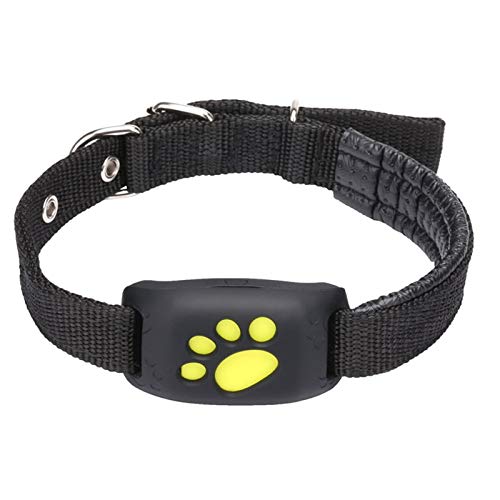 Pet Tracker Real Time Dogs Cats Locator Finder
