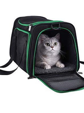 petisfam Pet Carrier for Medium Cats and Small Dogs.