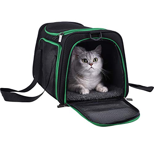 petisfam Pet Carrier for Medium Cats and Small Dogs.
