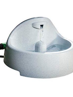 PetSafe Drinkwell Everflow Indoor/Outdoor Dog and Cat Water Fountain
