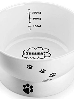 15 Ounce Cat Water Bowl Raised Ceramic Cat Food