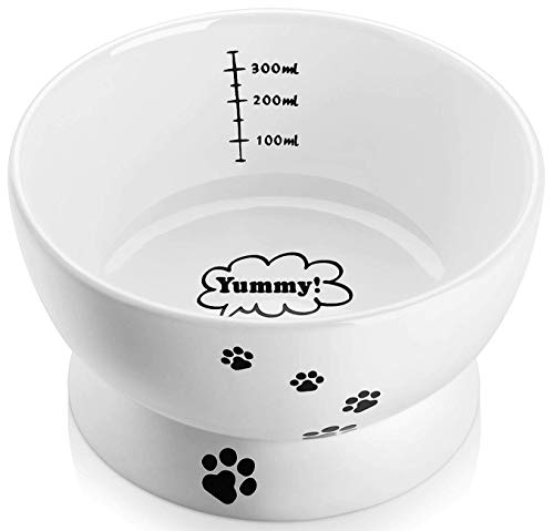 15 Ounce Cat Water Bowl Raised Ceramic Cat Food