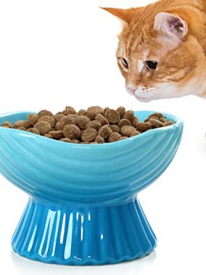 Ceramic Cat Bowls Elevated for Indoor Cats Anti Vomiting