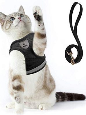 Cat Harness and Leash Set for Walking Cat and Small Dog