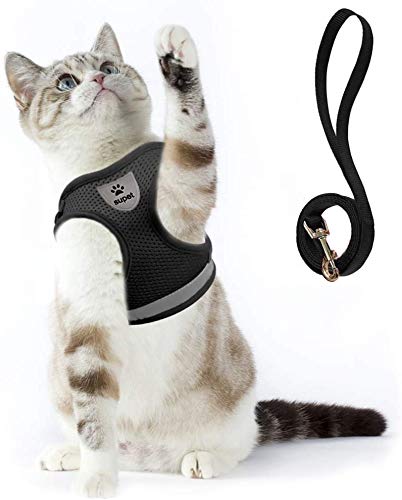 Cat Harness and Leash Set for Walking Cat and Small Dog