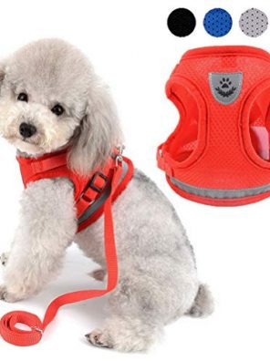 Cat Harness Soft Mesh Padded Puppy Vest Harness Leads