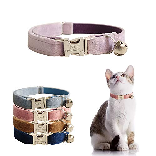 Personalized Cat Collar with Name Plate