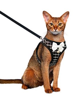 Aumuca Cat Harness and Leash for Walking Escape Proof