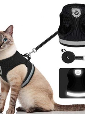 Adjustable Reflective Vest Cat Harness and Leash