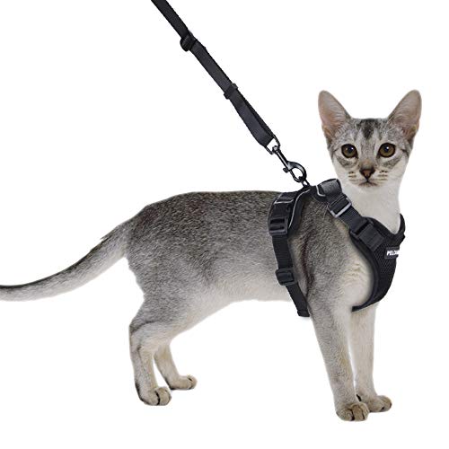 chede Cat Harness and Leash for Walking