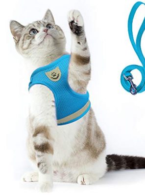 Cat Harness and Leash Set for Walking Cat Comfort Fit