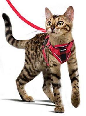 azuza Cat Harness and Leash for Walking Escape Proof