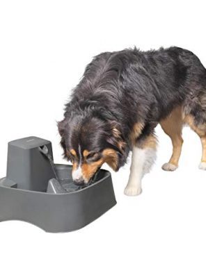 PetSafe Drinkwell 2 Gallon Dog and Cat Water Fountain