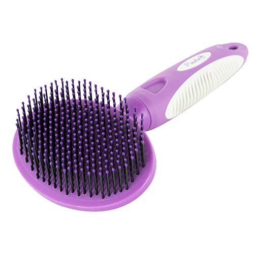 Cats Grooming for Short or Long Hair Purple