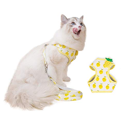 Cat Harness and Leash for Walking Escape Proof