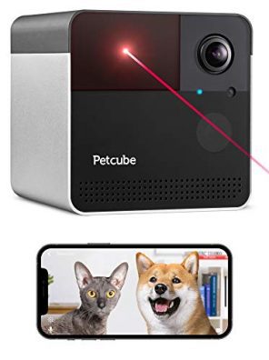 Cats Pet Camera with Laser Toy & Alexa Built-In