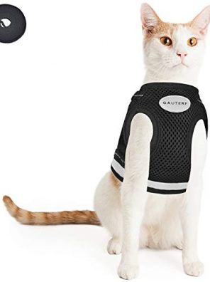 Pet Universal Harness with Leash Set