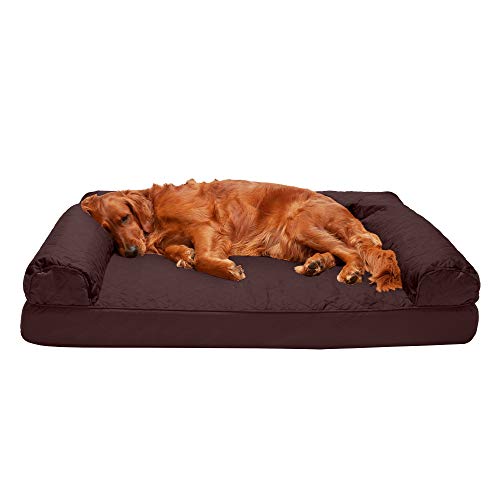 Cats Bed Couch Pet Bed with Removable Cover