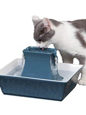 PetSafe Cat and Dog Water Fountain