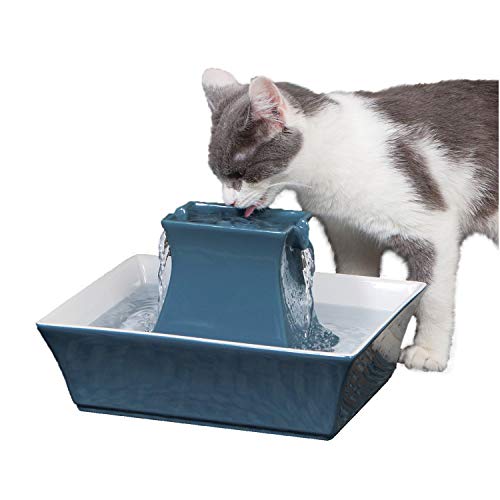 PetSafe Cat and Dog Water Fountain