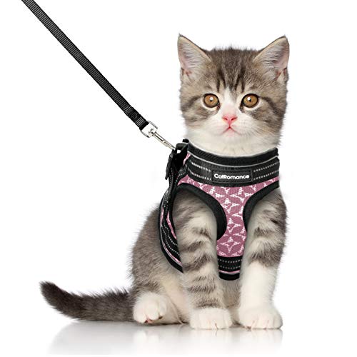 Adjustable Cat Harness and Leash Escape Proof