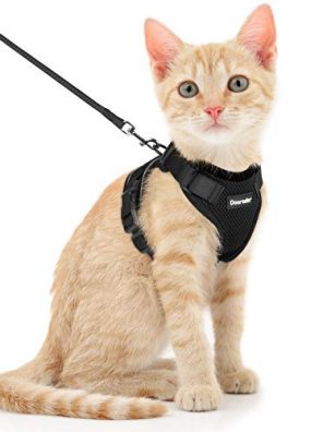 Dooradar Cat Leash and Harness Set