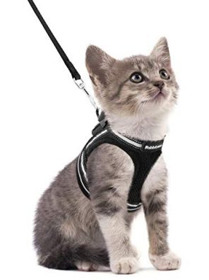 Adjustable Soft Kittens Vest Cat Harness and Leash Set for Walking