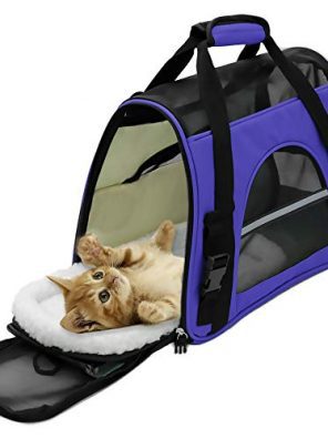 Paws, Pals Airline Approved Pet Carrier
