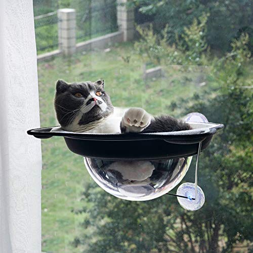 Ovida Cat Hammock Cat Window Perches