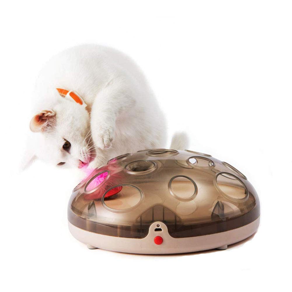 Toy, Automatic Interactive Pet Plate Toy Built-in Feather USB Rechargeable