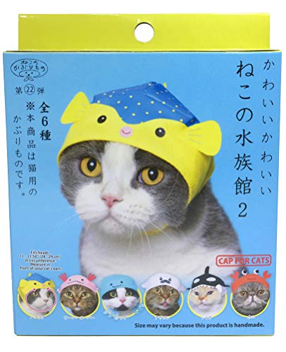 Club Cat Cap Hat Blind Box