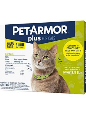 Flea and Tick Prevention for Cats