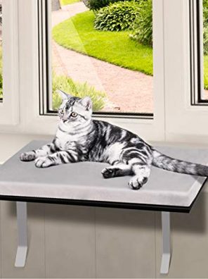 Cats Window Seat Wall Mount Perch House