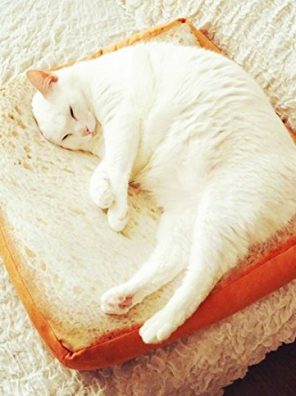 Gefryco Creative Toast Bread Slice Style Pet Mats Cushion