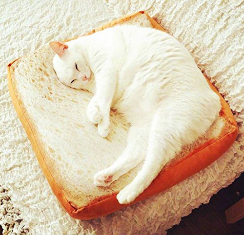 Gefryco Creative Toast Bread Slice Style Pet Mats Cushion