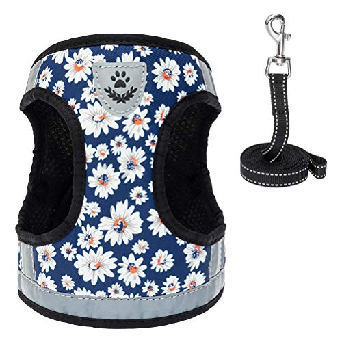 PAWCHIE Cat Harness and Puppy Harness with Leash Set