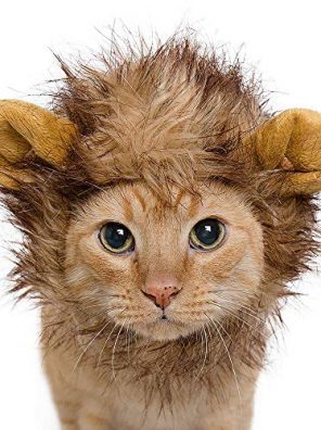 Pet Krewe Cat Lion Mane Halloween Costume