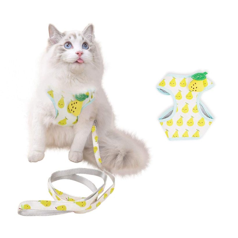 Cat Harness and Leash for Walking Escape Proof