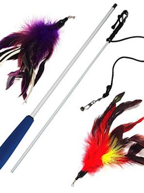 Pet Fit For Life Multi Feather Teaser and Exerciser