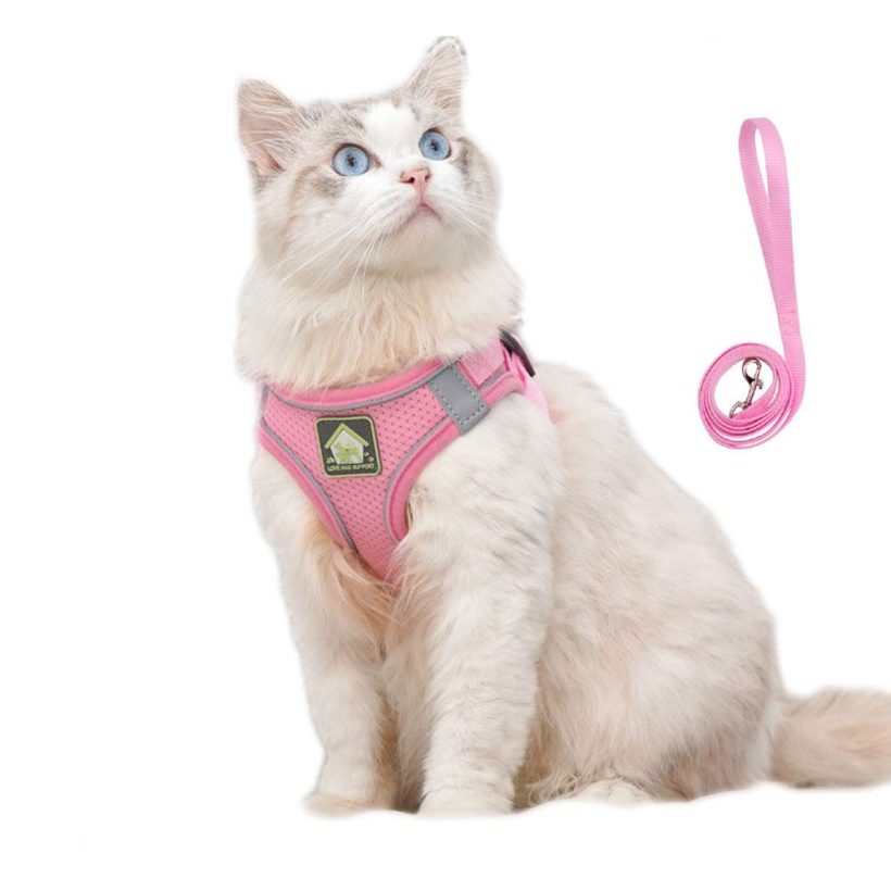 Cat Harness with Lead for Walking Escape Free