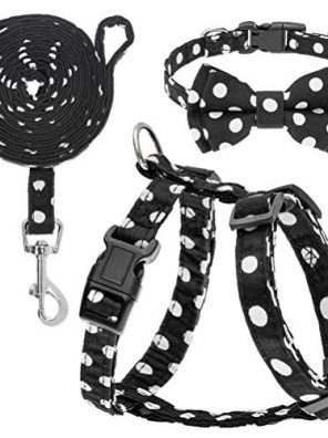 PAWCHIE Dog Harness and Leash Set with Bowtie Collar