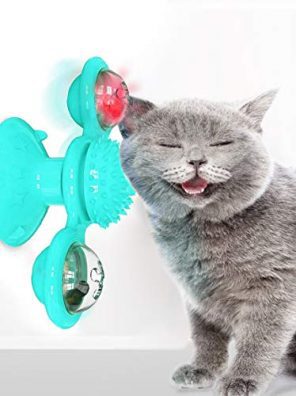 Interactive Cat Catnip Toy for Indoor Cats