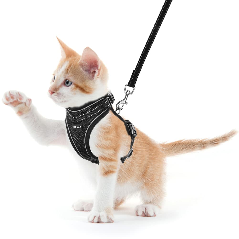 Cat Harness and Leash Set - Soft Breathable Mesh