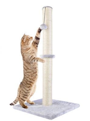 Dimaka 29" Tall Cat Scratching Post for Big Cats