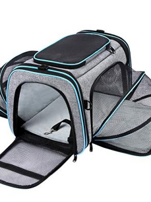 Airline Approved Pet Carrier for Cats